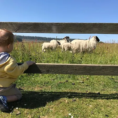 Smugglers Rock * 雷文斯卡