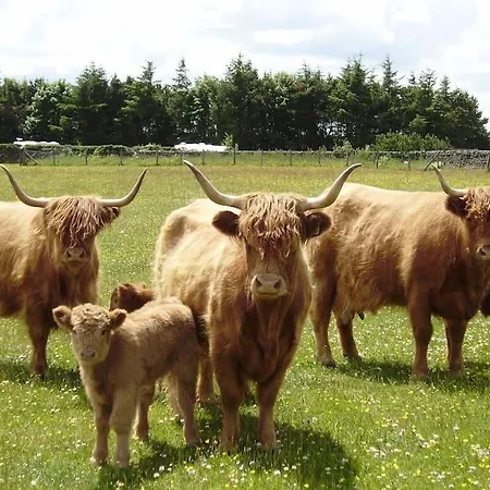 Smugglers Rock 度假居 雷文斯卡
